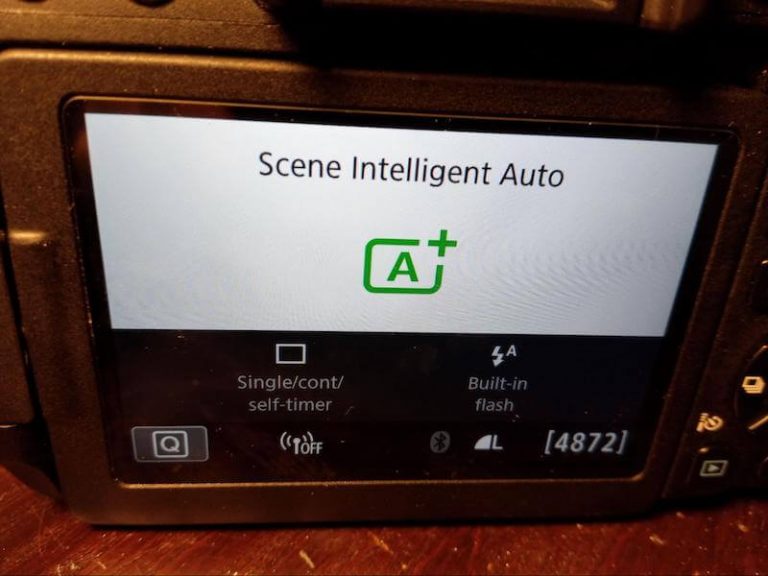 3 Quick Ways to Turn Off Flash on Canon Rebel